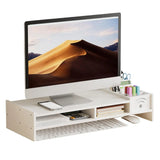 

Monitor Stand Riser 2-Tier Desk Shelf 4.3 Inch Height Computer Riser with Storage Organizer for Home Laptop PC TV Work Table

